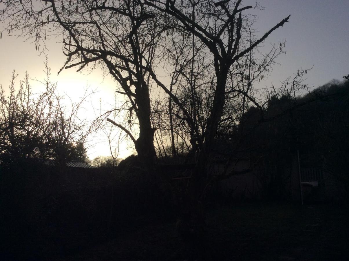 Chambres D'Hotes La Bottee Vieville-sous-les-Cotes ภายนอก รูปภาพ